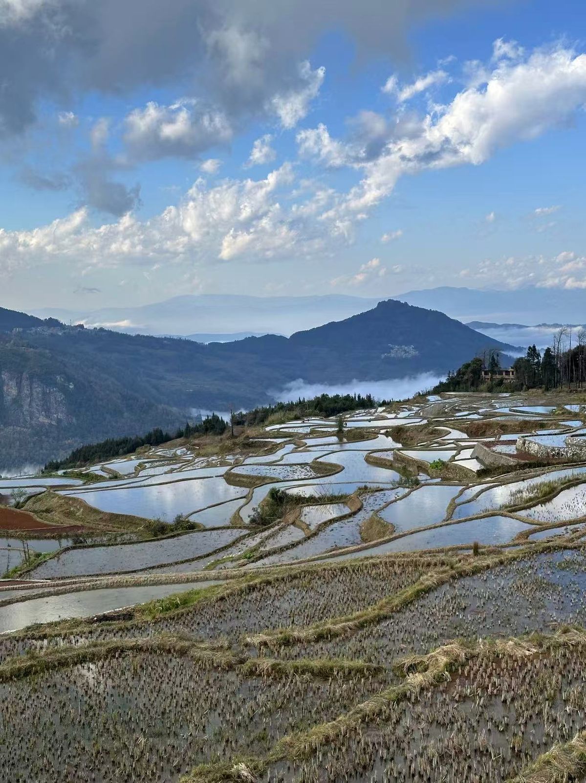 元阳灌水期镜面梯田近景