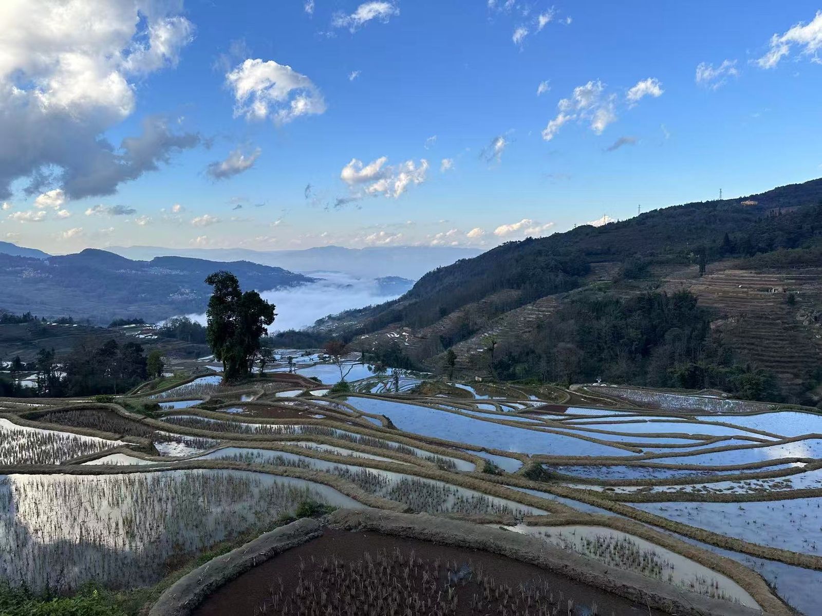元阳梯田灌水季清晨，梯田水面映着天空与云海