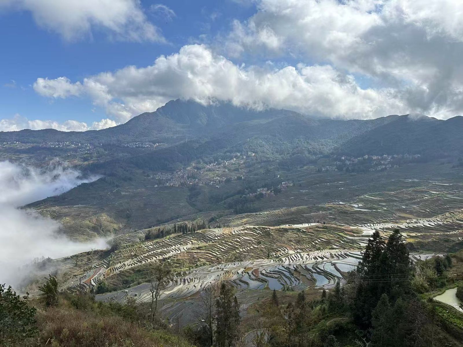 元阳梯田午后全景，云层压着山头，梯田从河谷排到半山